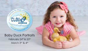 Baby Duck Portraits