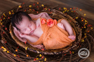 Fall Inspired Newborn Baby Portrait